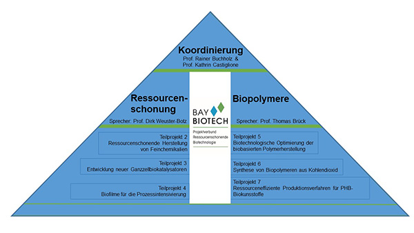 Grafik die in Pyramidenform einen strukturellen Überblick über den Projektverbund zeigt. Oben ist die Koordinierung. Dann teilt sich die Struktur in zwei Schwerpunktbereiche: Ressourcenschonung und Biopolymere. Darunter sind die sechs Teilprojekte des Verbundes und ihre Titel genannt.