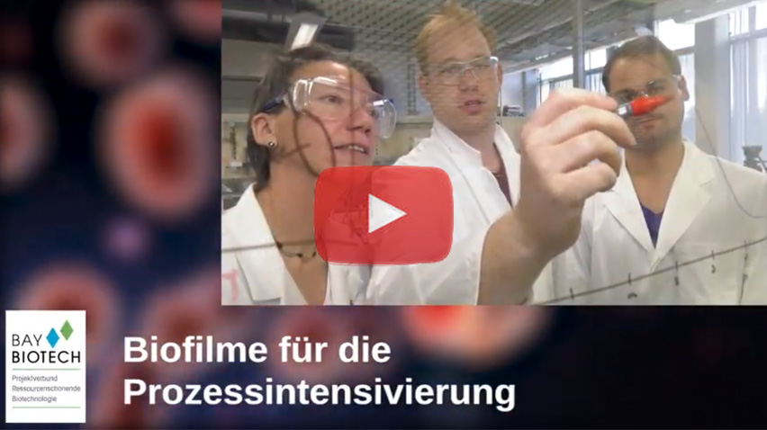 zum YouTube-Kanal des Bayerischesn Staatsministeriums für Umwelt und Verbraucherschutz